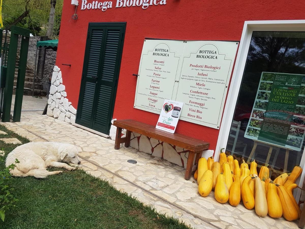 Agriturismo Rosso Lampone Cerreto Laziale Ngoại thất bức ảnh
