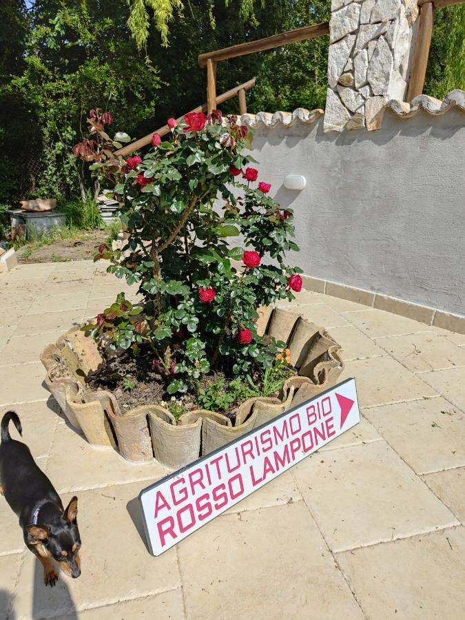 Agriturismo Rosso Lampone Cerreto Laziale Ngoại thất bức ảnh